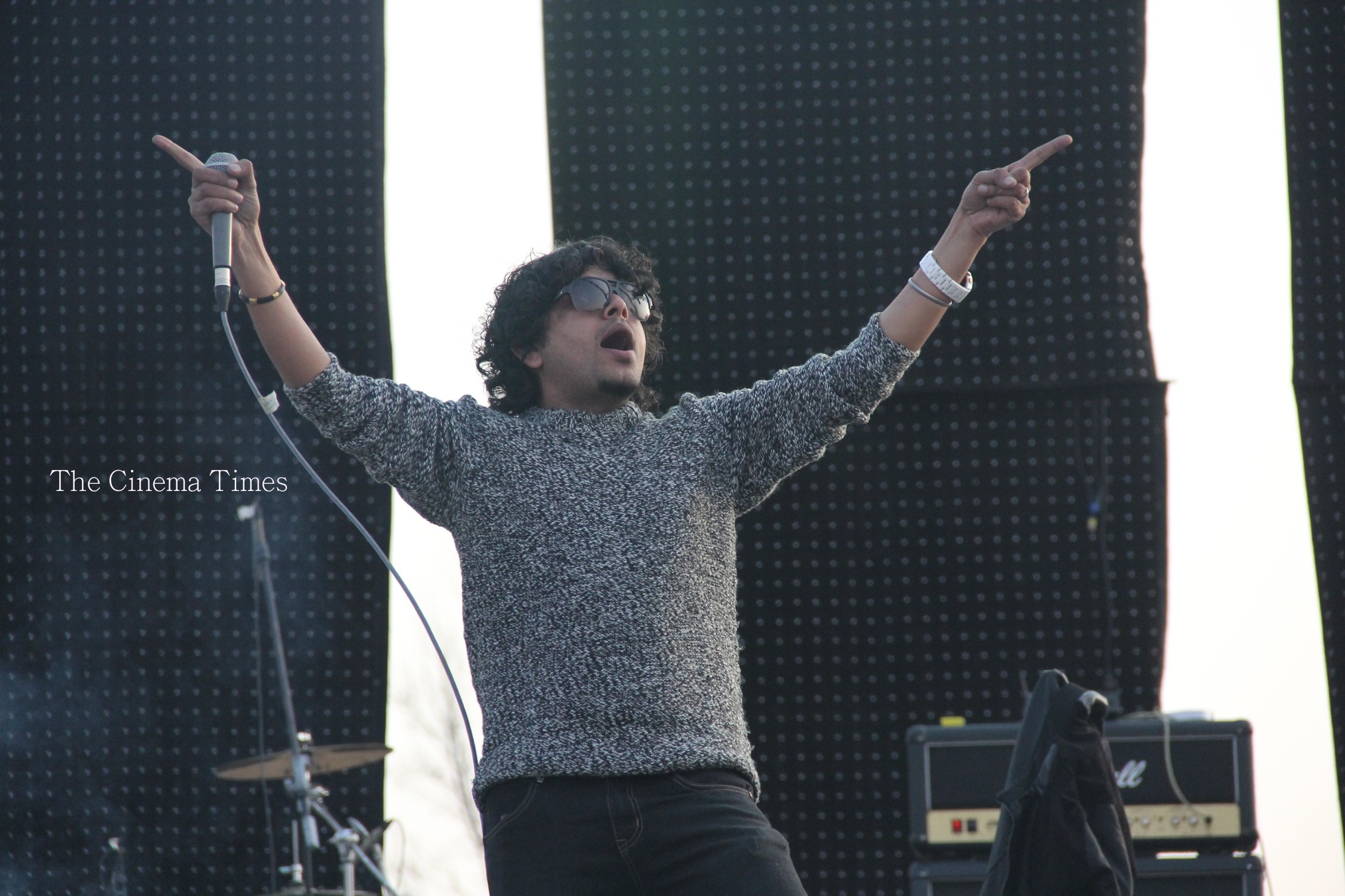 Love Nepal International Music Festival - The Cinema Times 14
